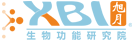 XBI
